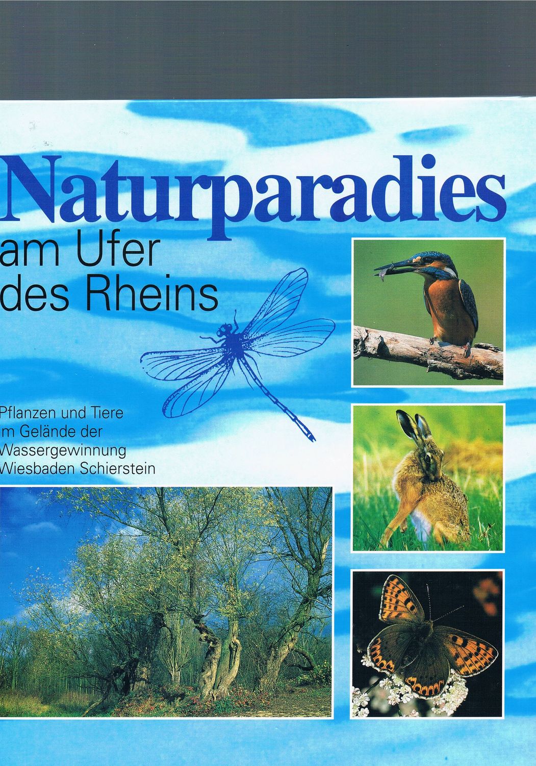 Naturparadies am Ufer des Rheins