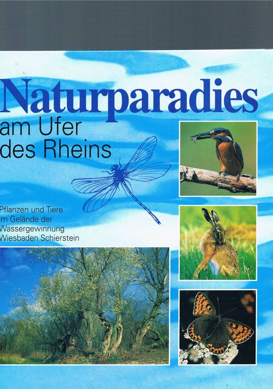 Naturparadies am Ufer des Rheins