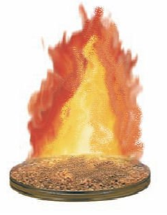 disque Feu nouveau