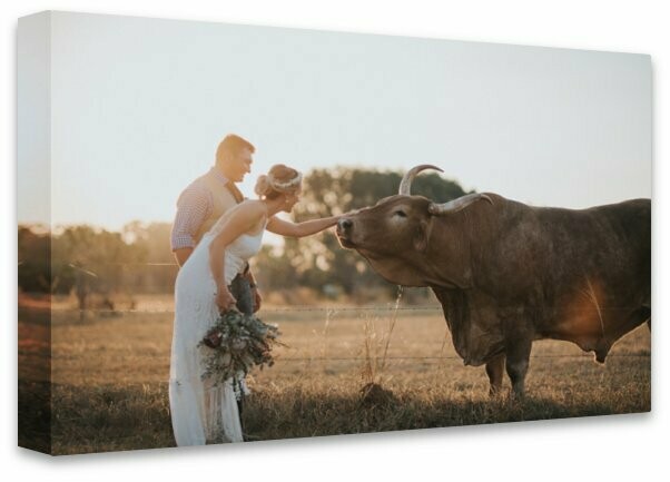 Canvas Prints