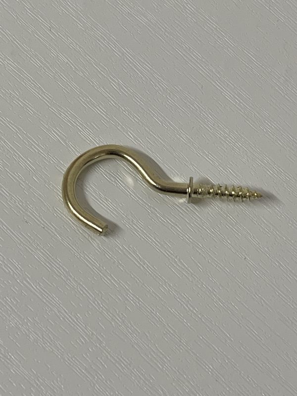 Brass Hook 1 in