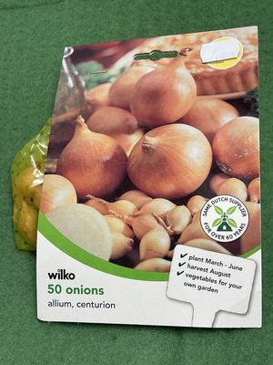 Onion Sets Centurion 50 Bulbs