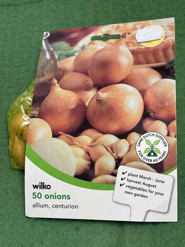 Onion Sets Centurion  50 Bulbs