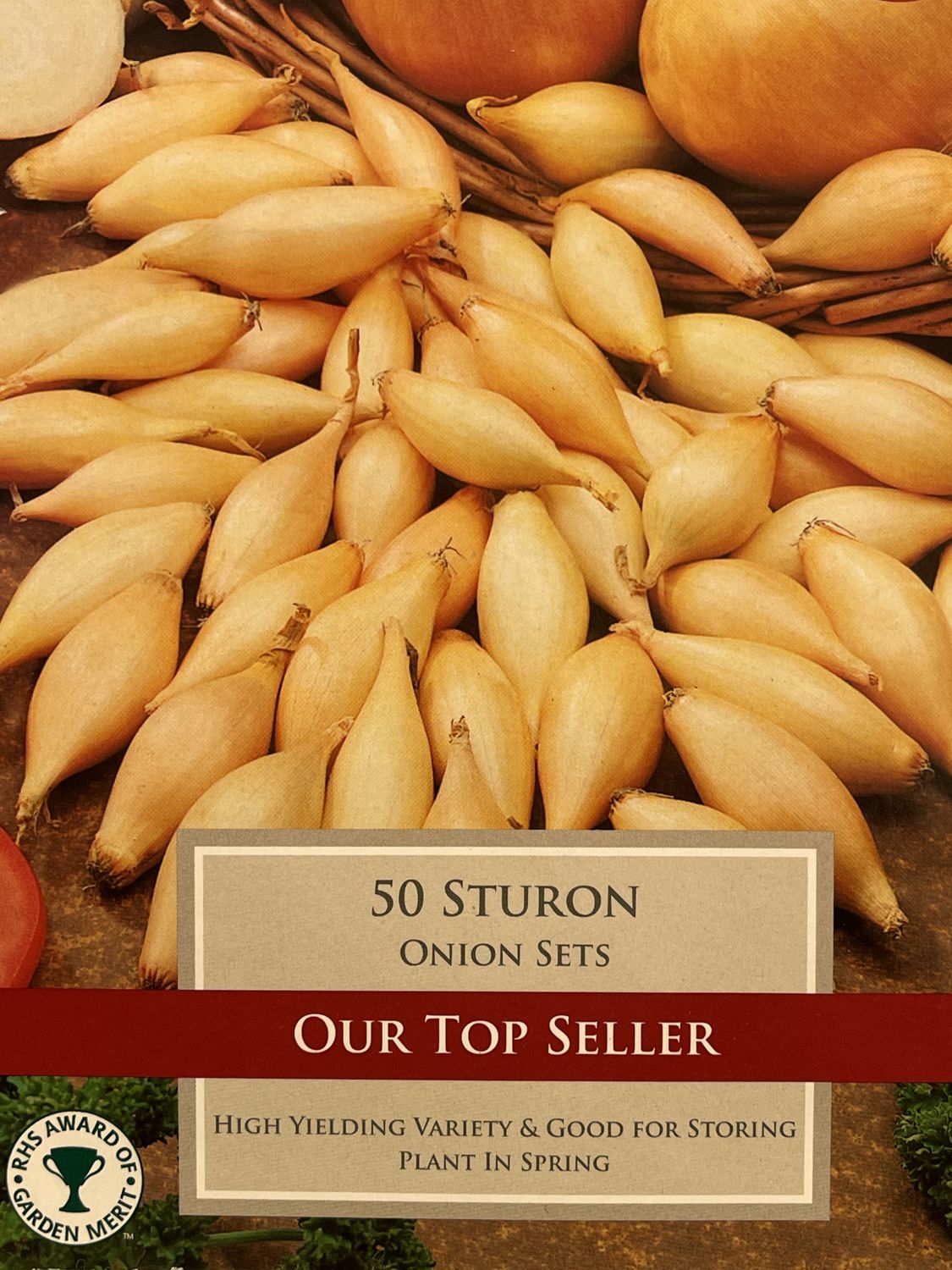 Onion Sets Sturon 50 Bulbs