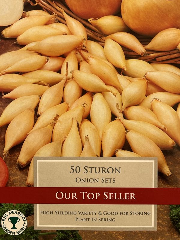 Onion Sets Sturon 50 Bulbs