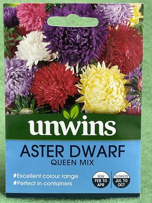 UNWINS Aster Dwarf Queen Mix 150 seeds approx
