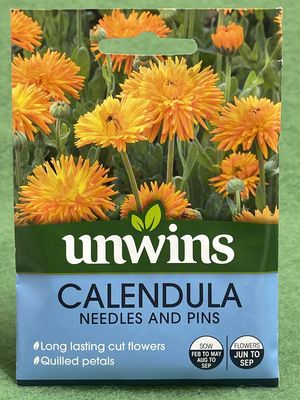 UNWINS Calendula Needles and Pins 200 seeds approx