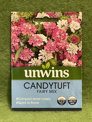 UNWINS Candytuft Fairy Mix 500 seeds approx.