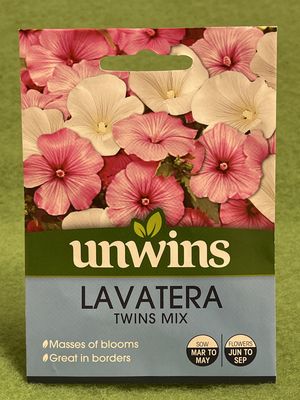 UNWINS Lavatera Twins Mix 30 seeds approx