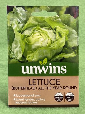 UNWINS Lettuce (Butterhead) All Year Round 1000 seeds approx