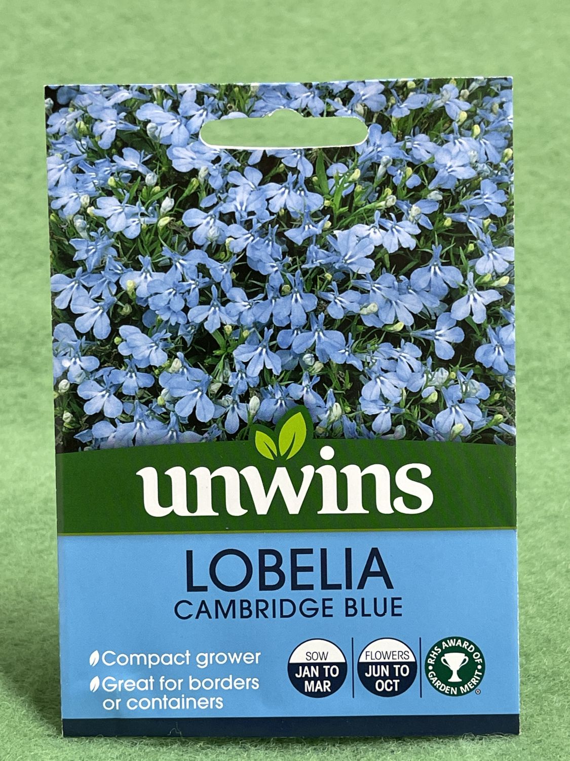 UNWINS Lobelia Cambridge Blue 1000 seeds approx