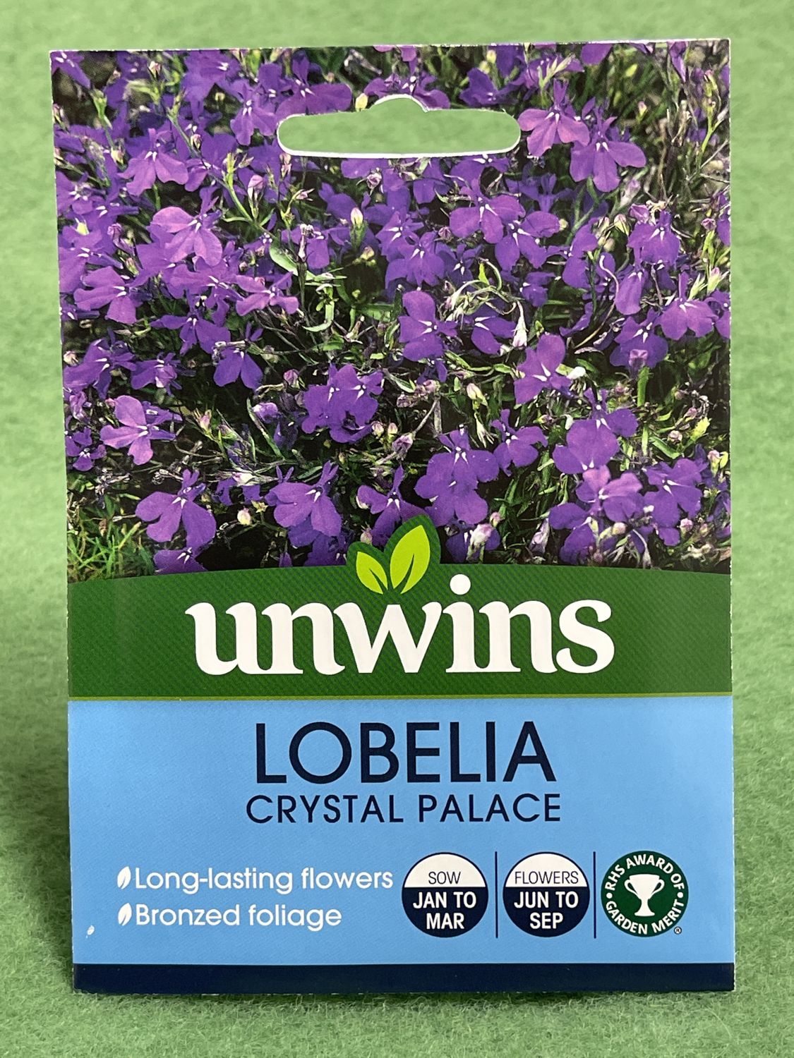 UNWINS Lobelia Crystal Palace 1000 seeds approx