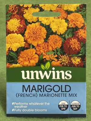 UNWINS Marigold (French) Marionette Mix 150 seeds approx