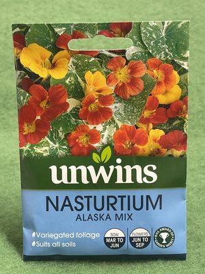 UNWINS Nasturtium Alaska Mix 30 seeds approx