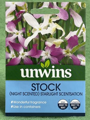 UNWINS (night scented) Starlight Scentsation 1100 seeds approx