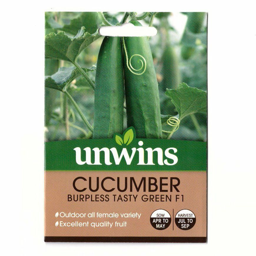 UNWINS Seeds 7079 Cucumber Burpless Tasty Green F1