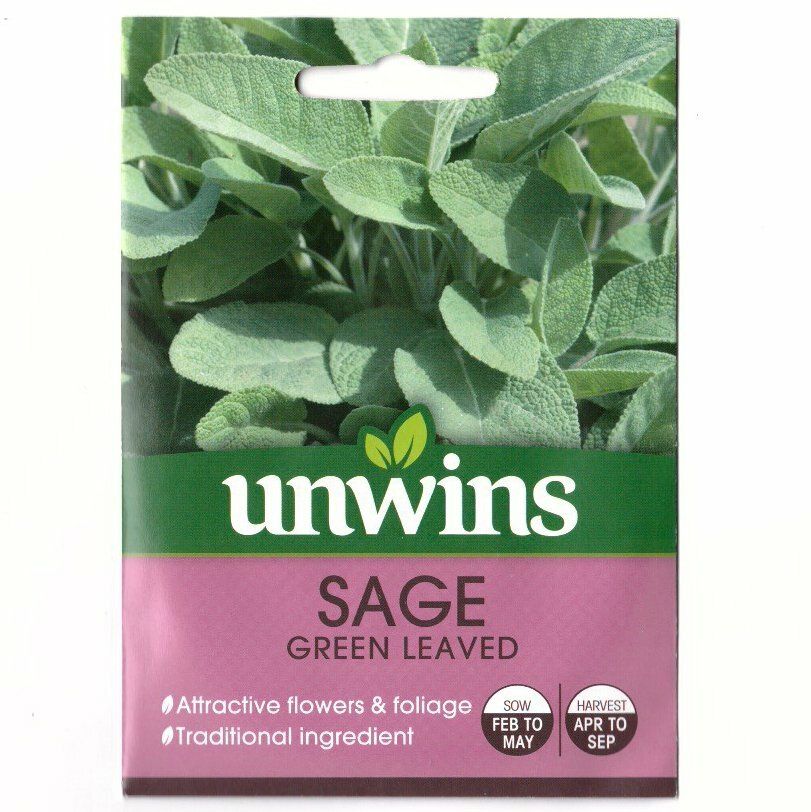 UNWINS Seeds 7129 Sage, green leaved