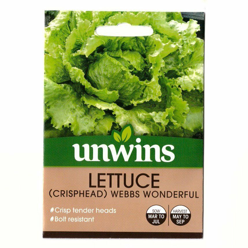UNWINS Seeds 7162 Lettuce (Crisphead) Webbs Wonderful