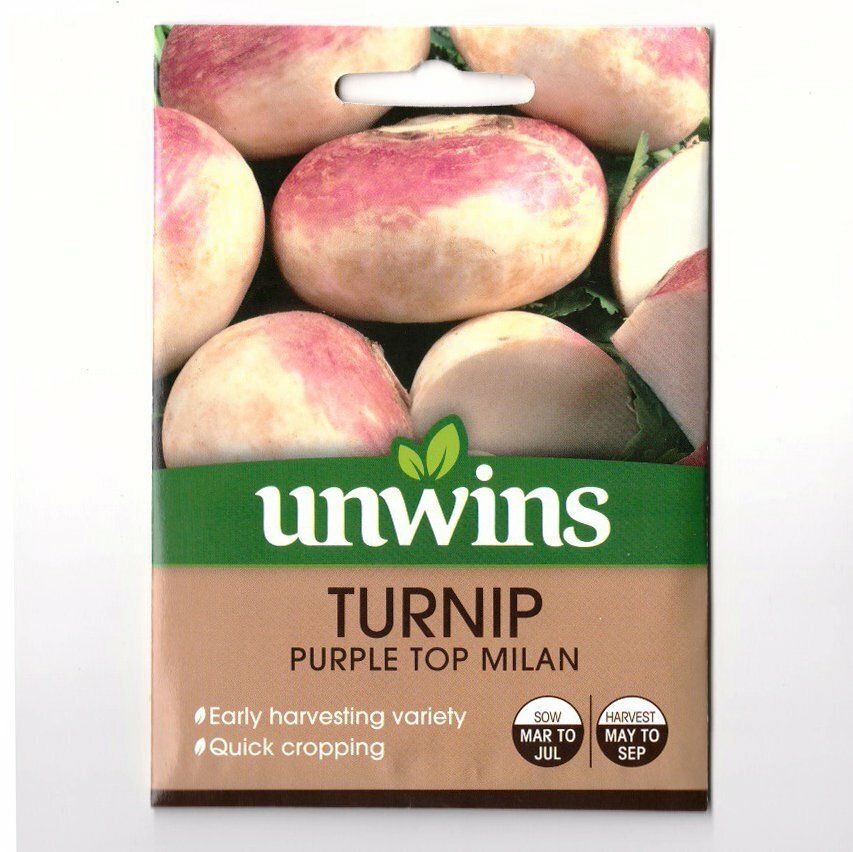 UNWINS Seeds 7278 Turnip Purple Top Milan