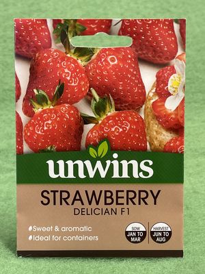UNWINS Strawberry Delician F1