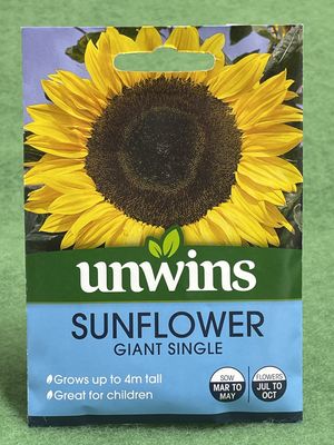 UNWINS Sunflower Giant Single 45 seeds approx