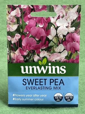UNWINS Sweet Pea Everlasting Mix 21 seeds approx