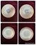 Termocrisa milk glass bowls blue flowers gold trim