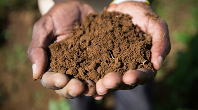 Soils