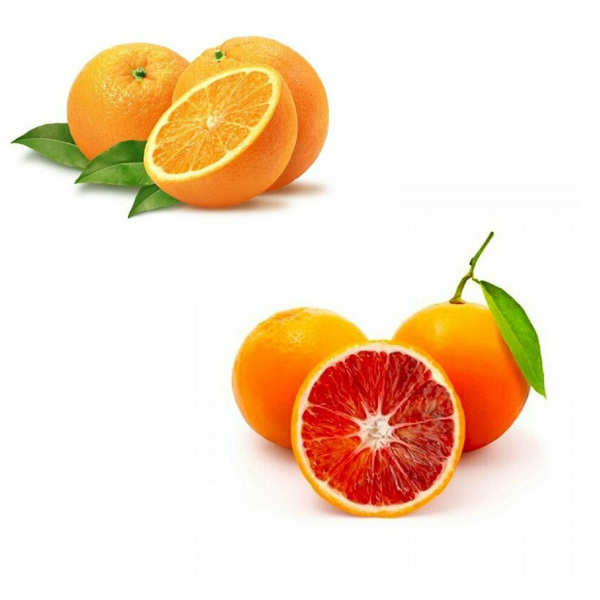 Cassetta di Arance mista