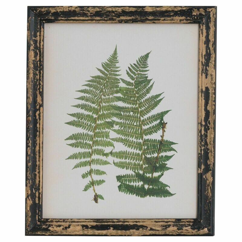 Antique Reclaimed Rustic Framed Botanical Wall Art
