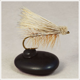 Caddis