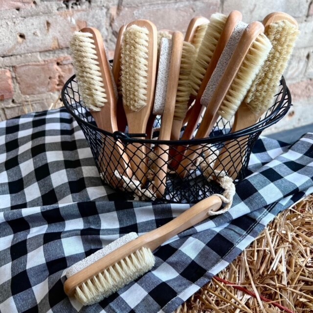 Natural Pumice and Brush