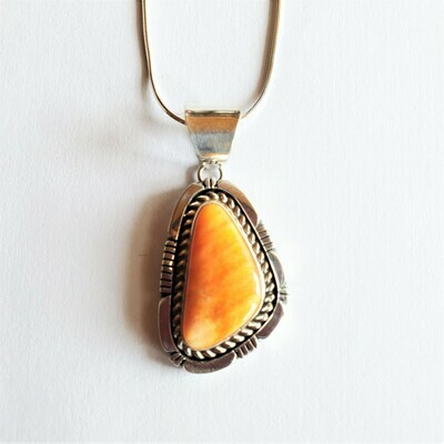 Spiny Necklace