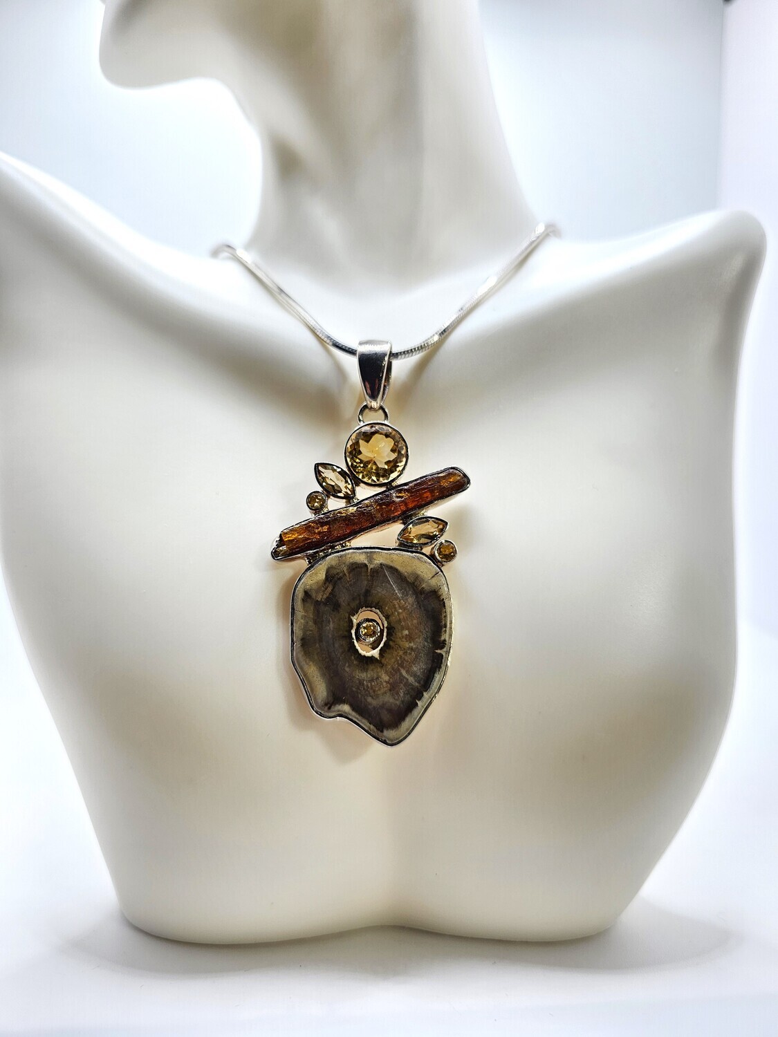 Petrified Wood with Citrines