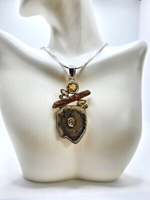 Petrified Wood with Citrines