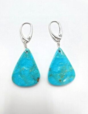 Nacosari Turquoise Earring
