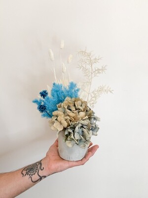 Little Boy Blue