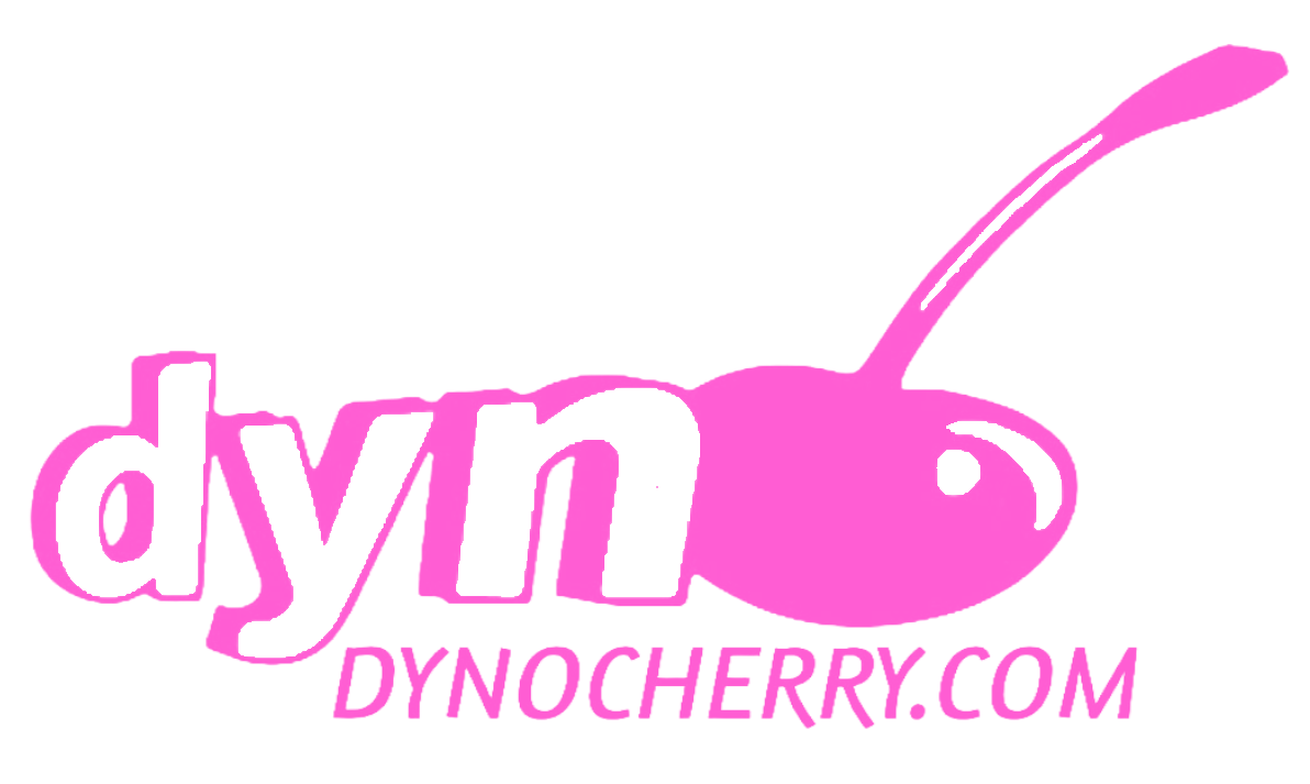 Rentals offered by DynoCherry