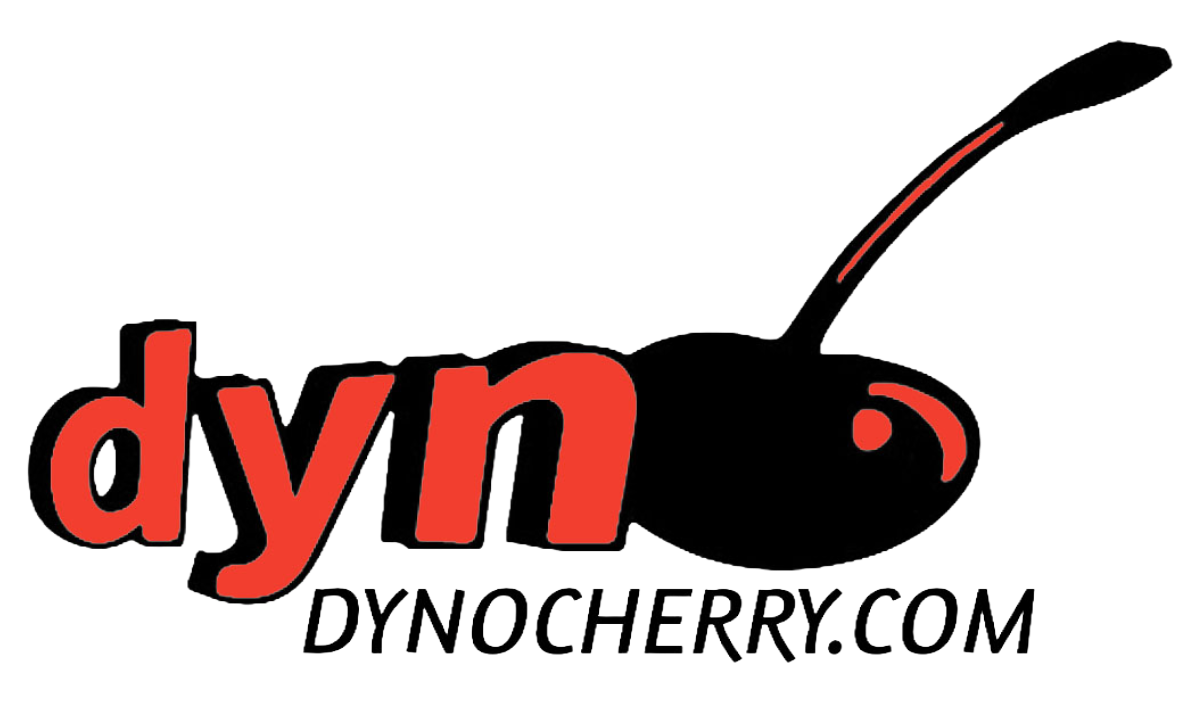 Rentals offered by DynoCherry