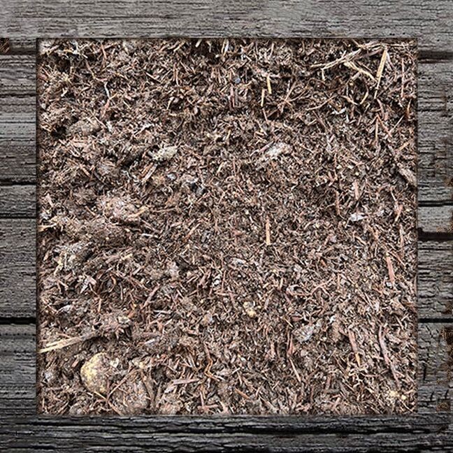 Mushroom Compost