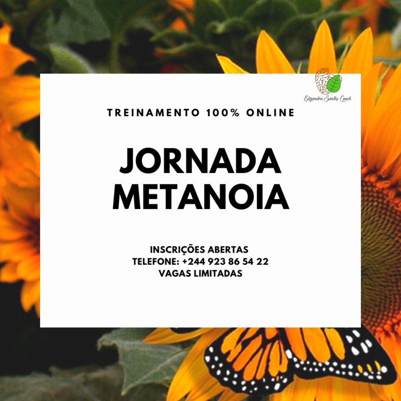 TREINAMENTO 100% ONLINE JORNADA METANOIA