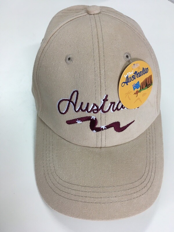 Assorted Caps Hats