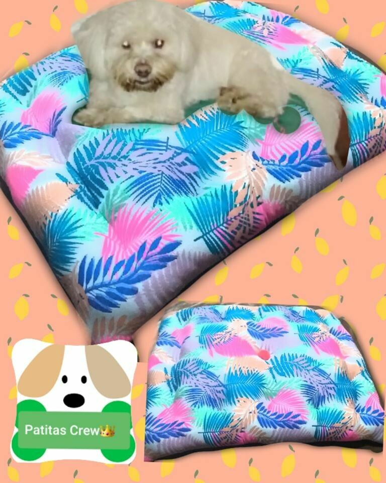 CAMITAS ANTIALÉRGICAS PATITAS CREW