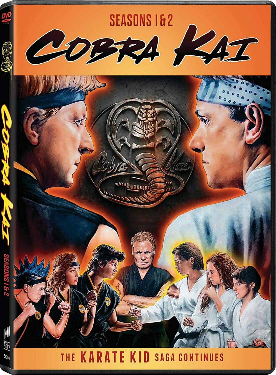 Cobra Kai - Seasons 1 & 2 (7 day rental)