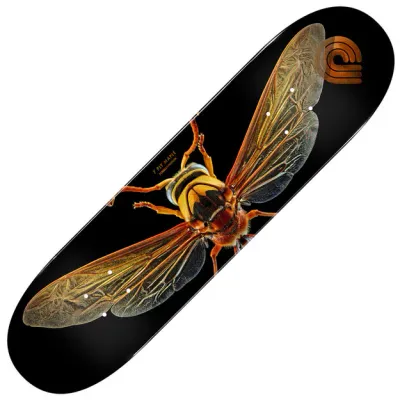 Powell Peralta Potter Wasp Deck 8.0&quot;
