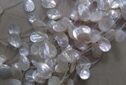 Concha Nacar 275-21 (Ramal)