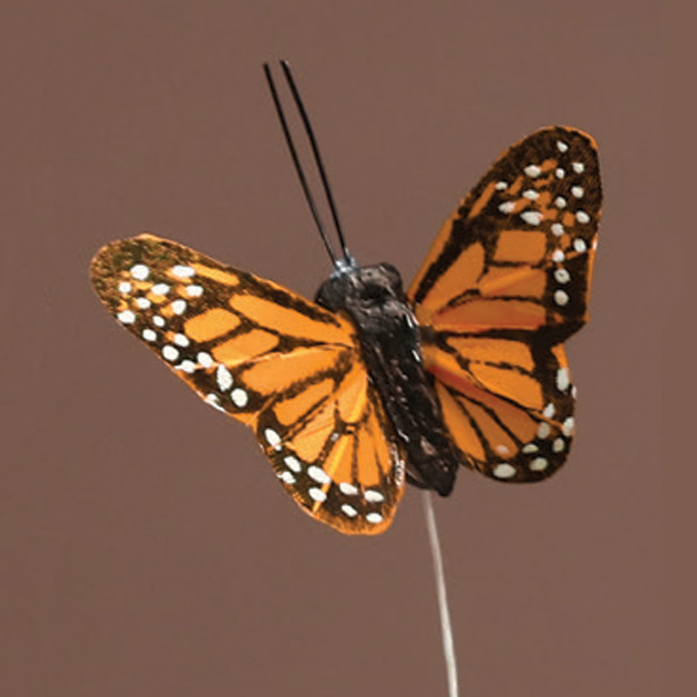 Mariposa Monarca 2&#39; (24 Und)