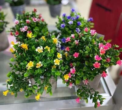 Bonsai Flor YM67 (Und)