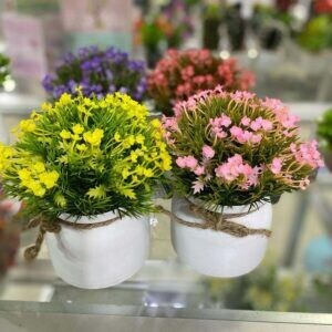 Bonsai Flor YM75 (Und)
