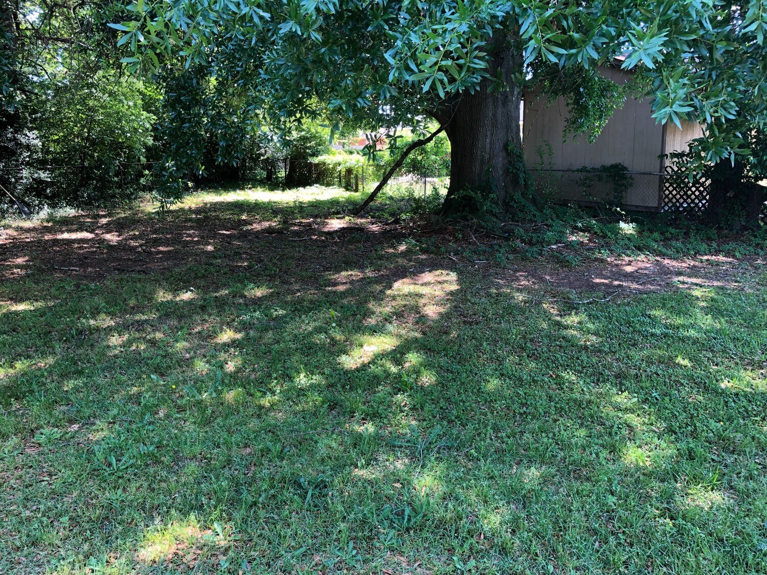 Clearing Landscape